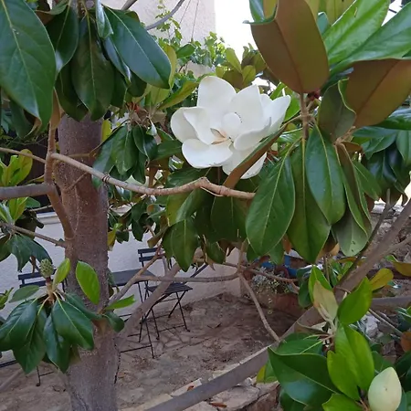 Prázdninový dům Pontinos