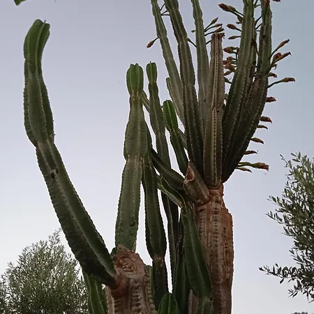 Holiday home Pontinos *