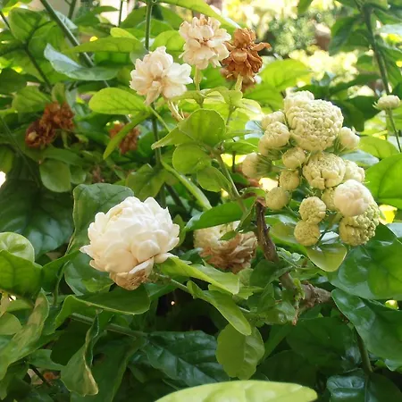 Holiday home Pontinos