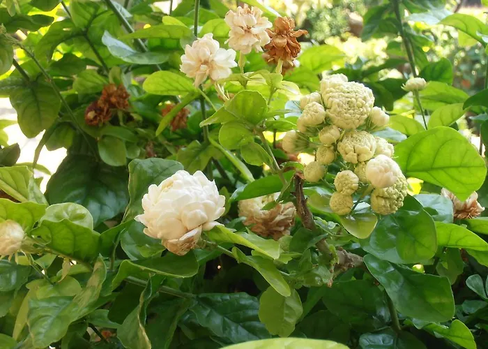 Сasa de vacaciones Pontinos